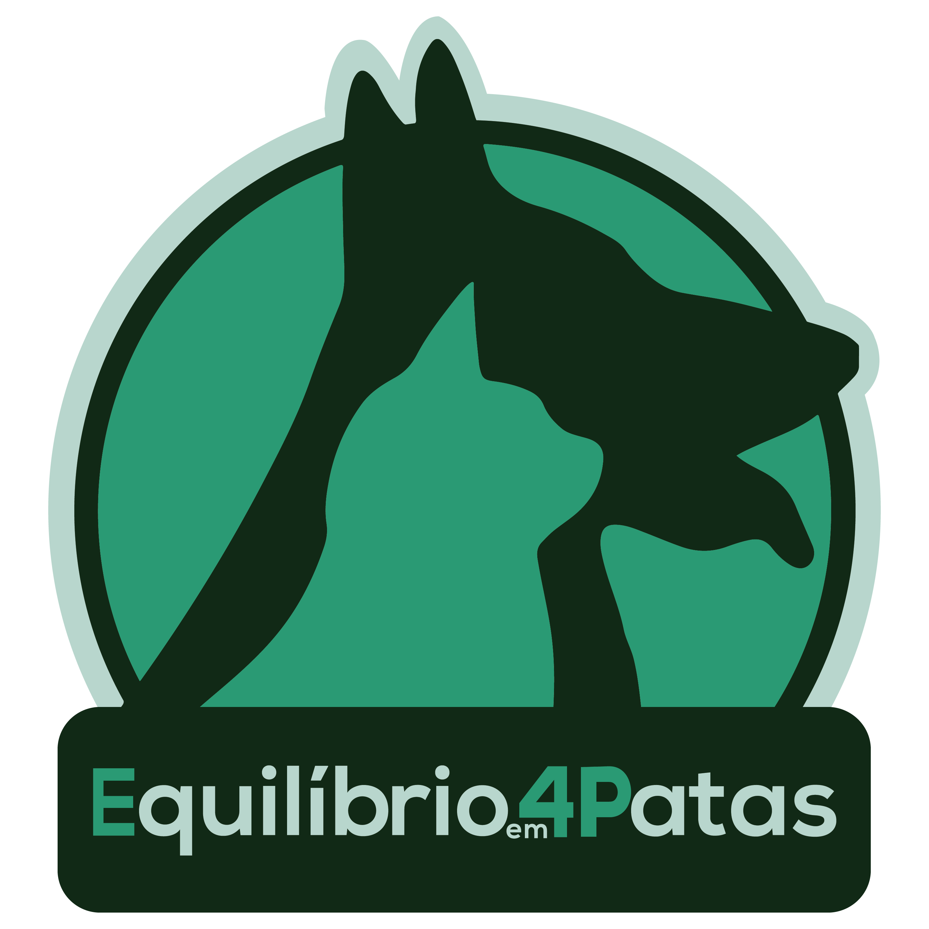 Equilíbrio em 4 Patas